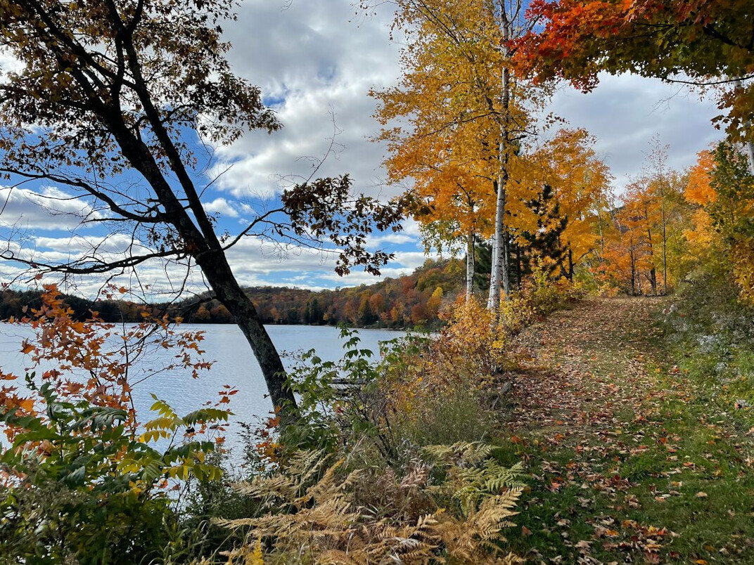 Group of seniors walking along a lakeside path in autumn