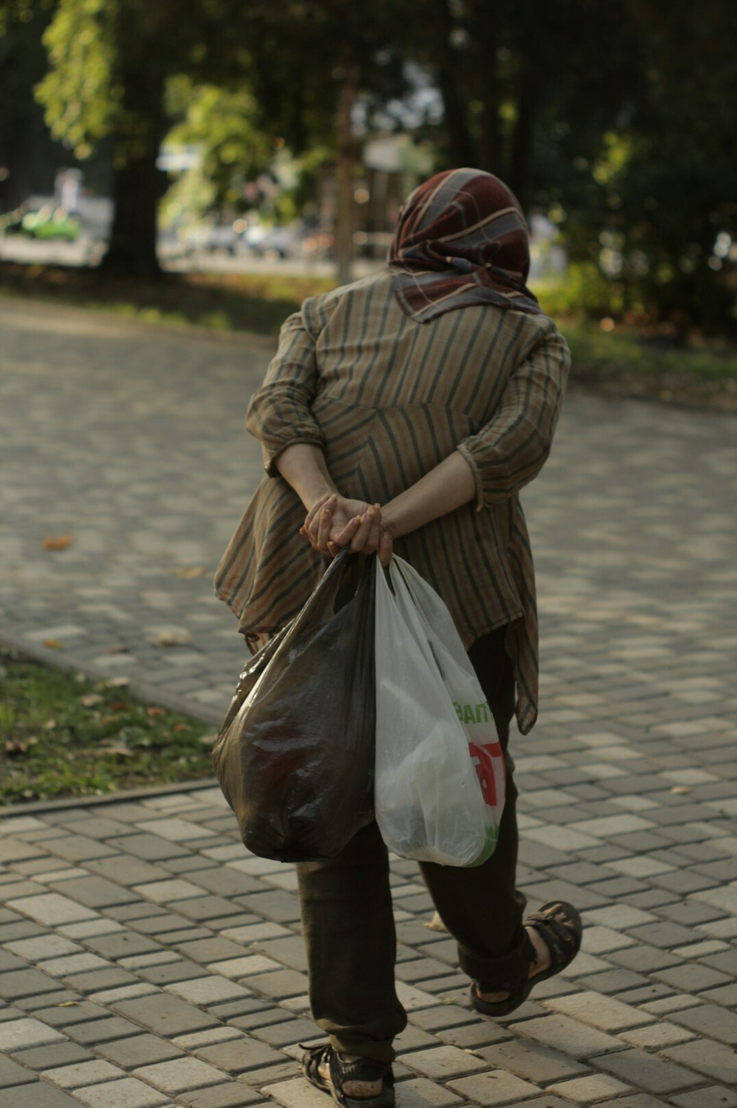 Young volunteer helping an elderly woman carry grocery bags