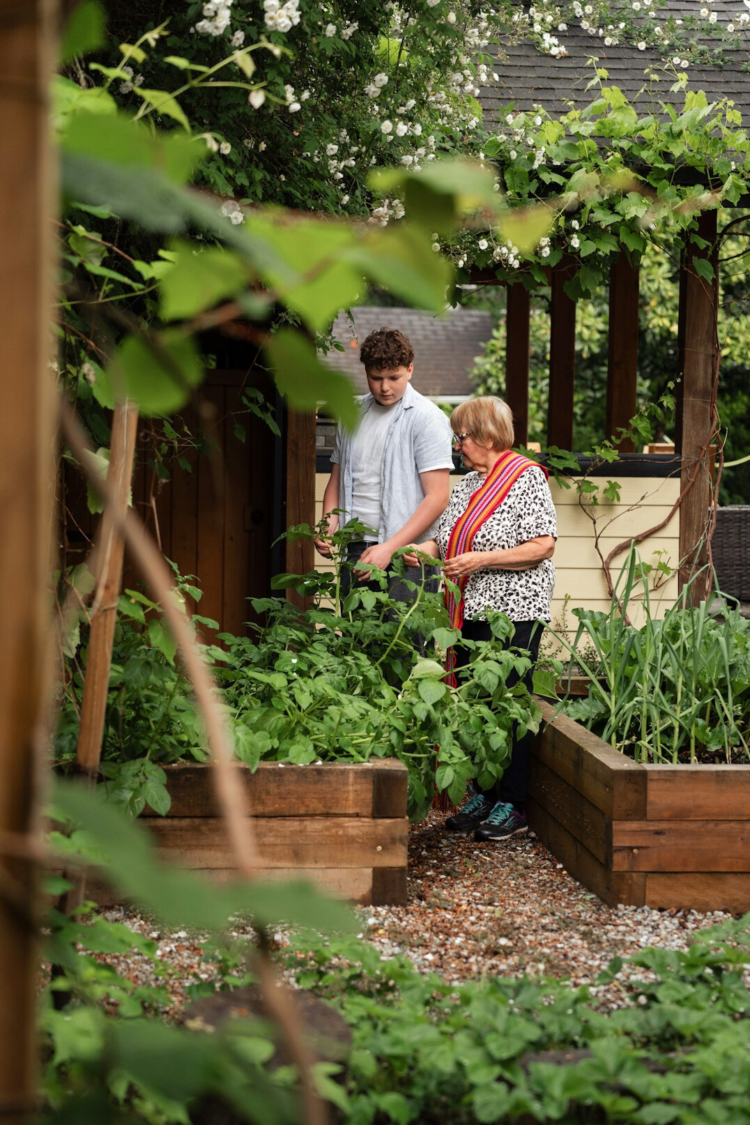 Elderly women gardening together in a community vegetable garden
