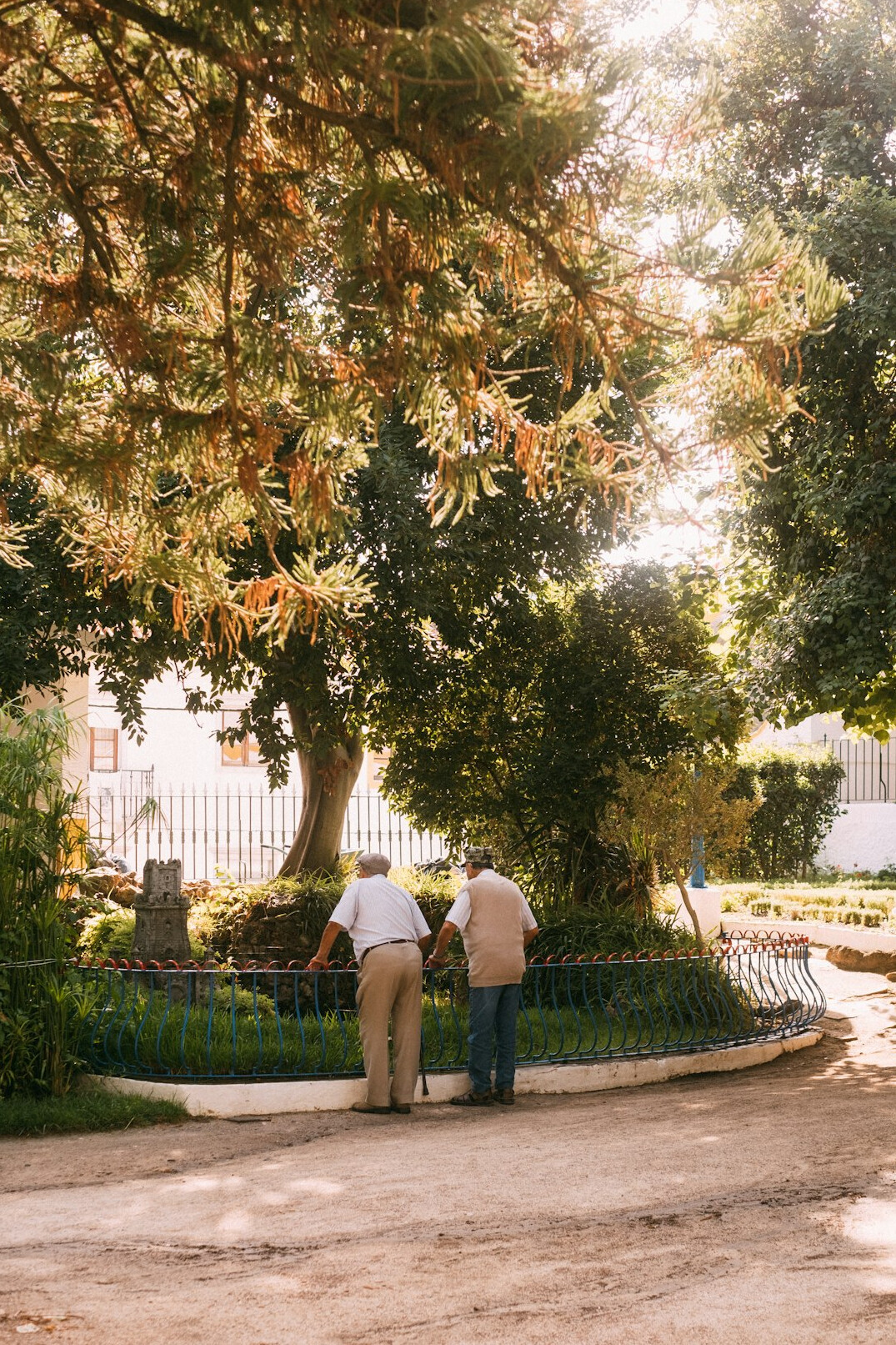senior couple walking in park